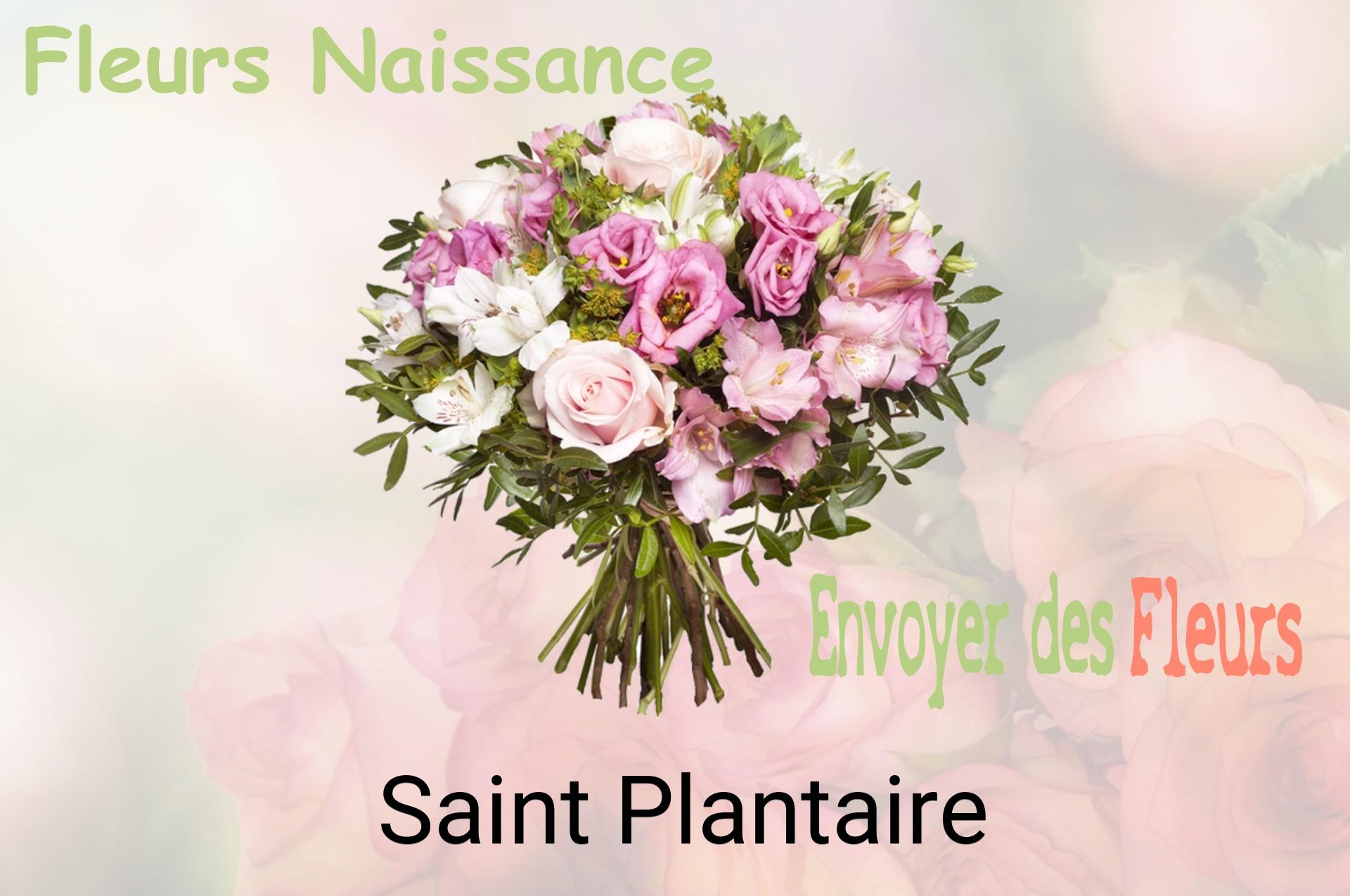 Bouquet de fleurs de naissance livré à Saint-Plantaire