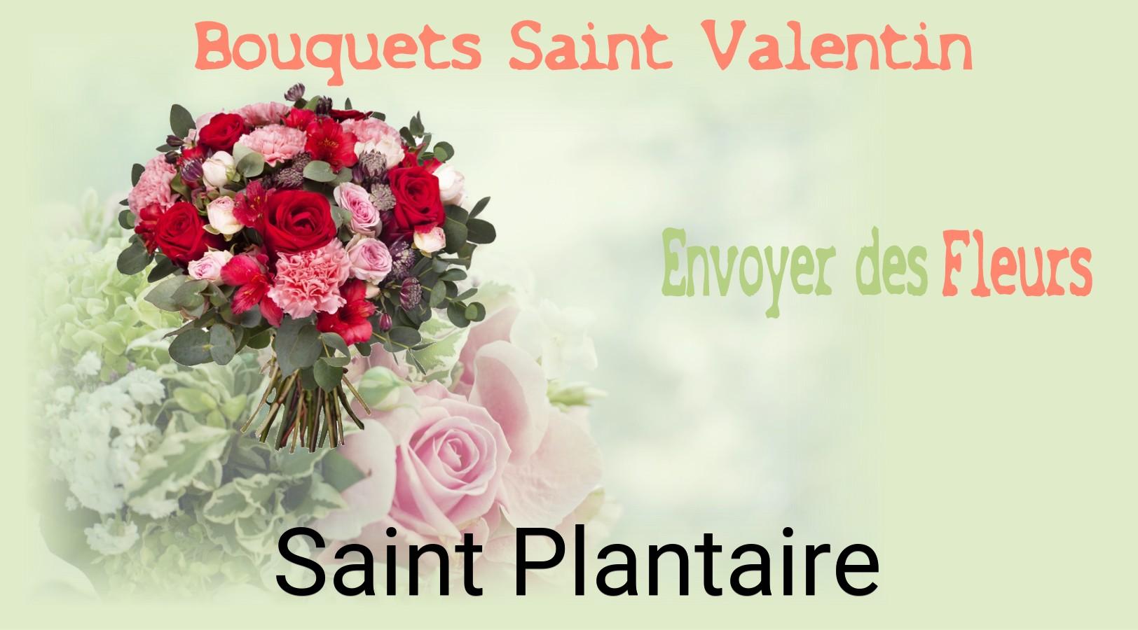 Roses de Saint-Valentin livrées à Saint-Plantaire
