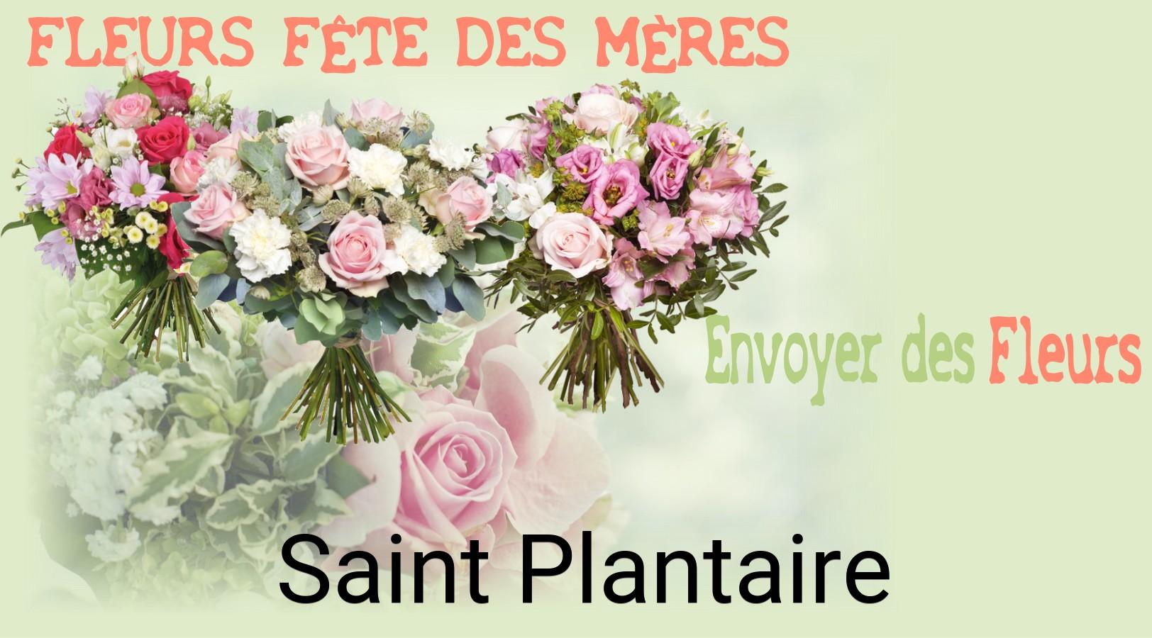 Bouquet de Fête des Mères livré à Saint-Plantaire